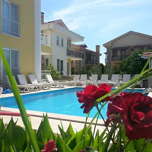 book here